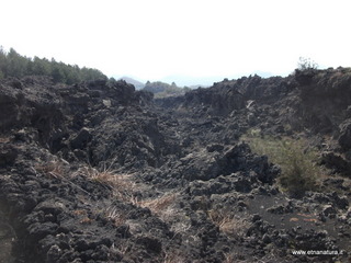 Monte Gemmellaro